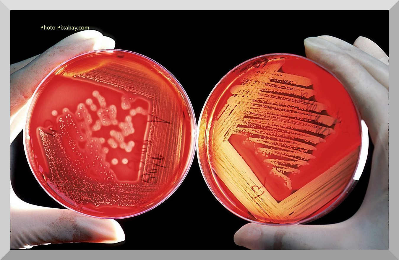 cosmetic-lab-hygienic-GMP hygienic-cosmetic