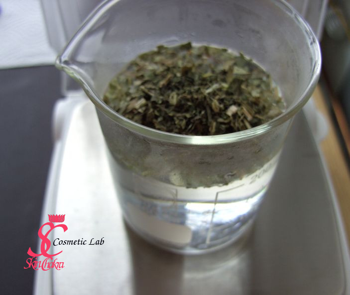 peppermint decoction