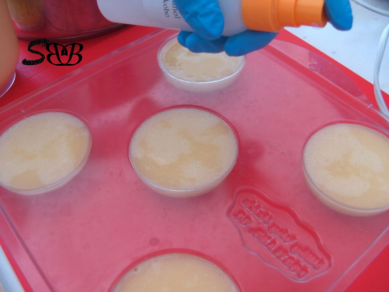 Brine Soap Tutorial Swettis Beauty Blog