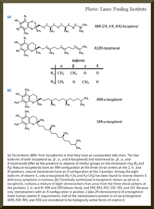 structure of natural vitamin E tocopherols and tocotrienols