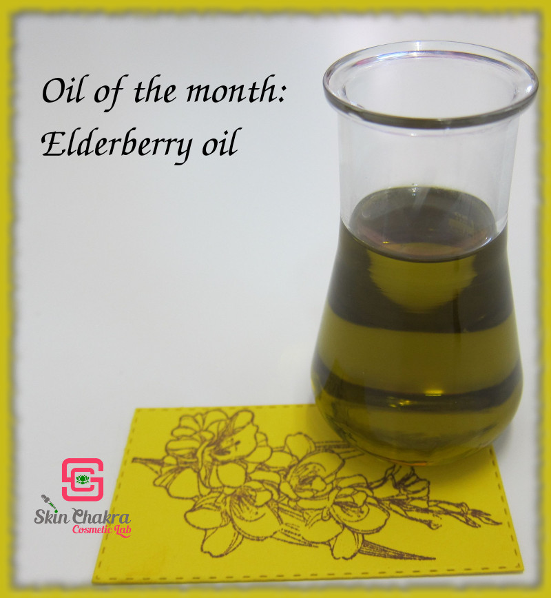 elderberry oil profile